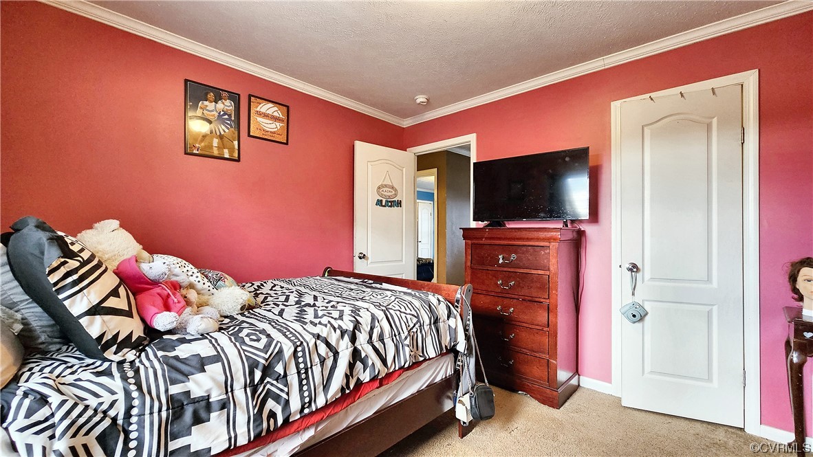 633 Taylors Mill Road Emporia, VA 23847 - Photo 13 of 14 a bedroom with a bed and a flat screen tv