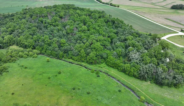 $60,000 | Tbd Tbd Cardinal Lane, Mabel, MN 55954