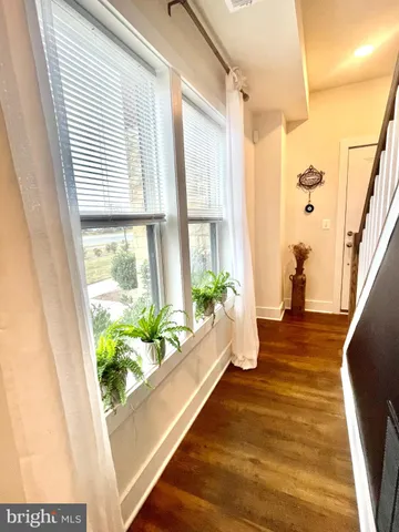 a room with wooden floor and potted plant