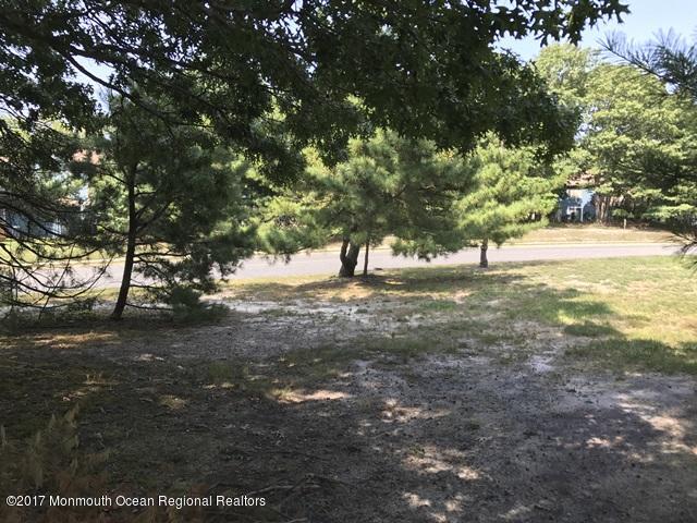 14 Swallow Lane, Unit 14 Howell, NJ 07731 - Photo 7 of 26 352-548921 yard (2)