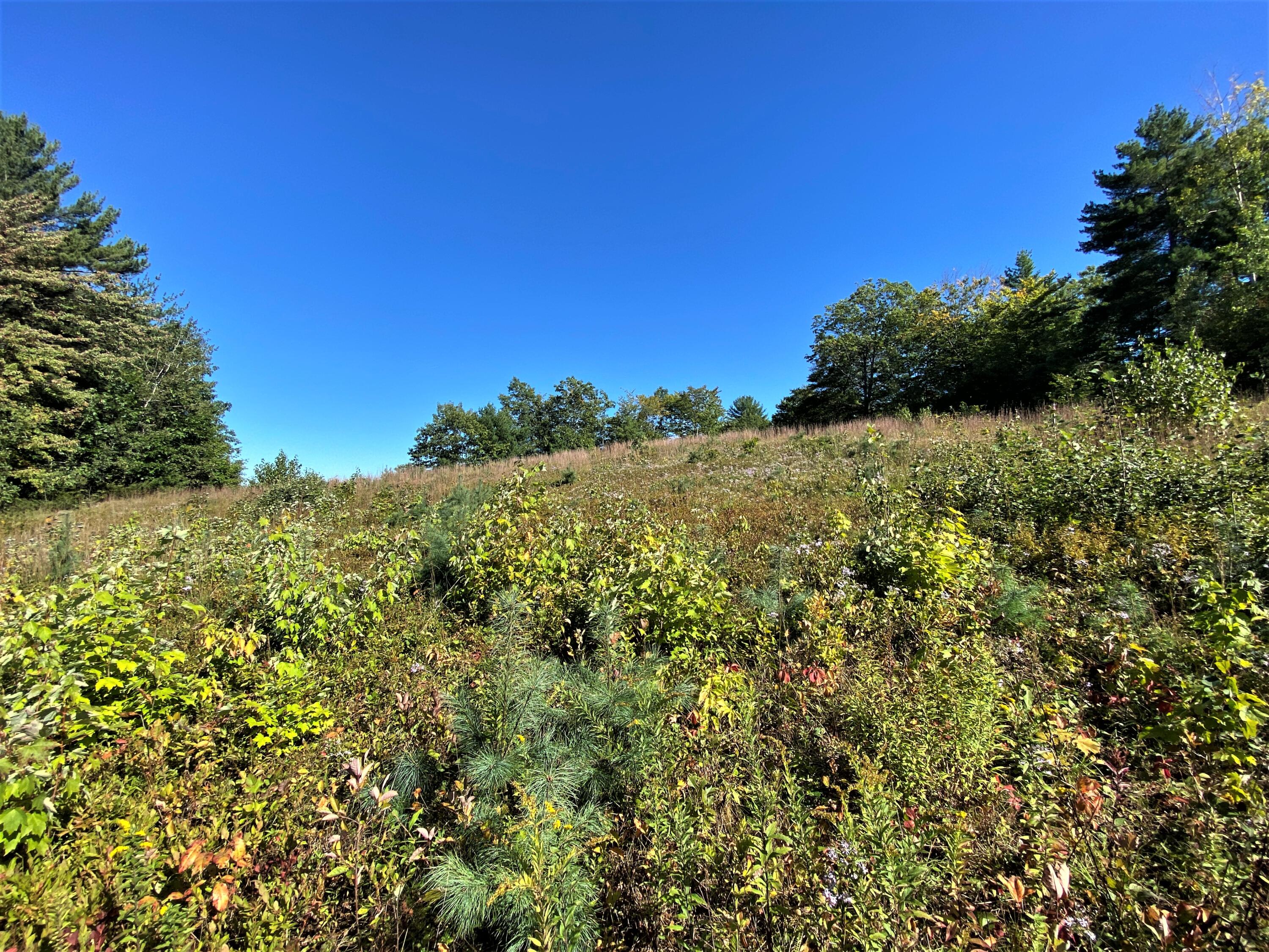 0 Libby Road, Unit LOT #10 West Newfield, ME 04095 - Photo 13 of 18 IMG_15962