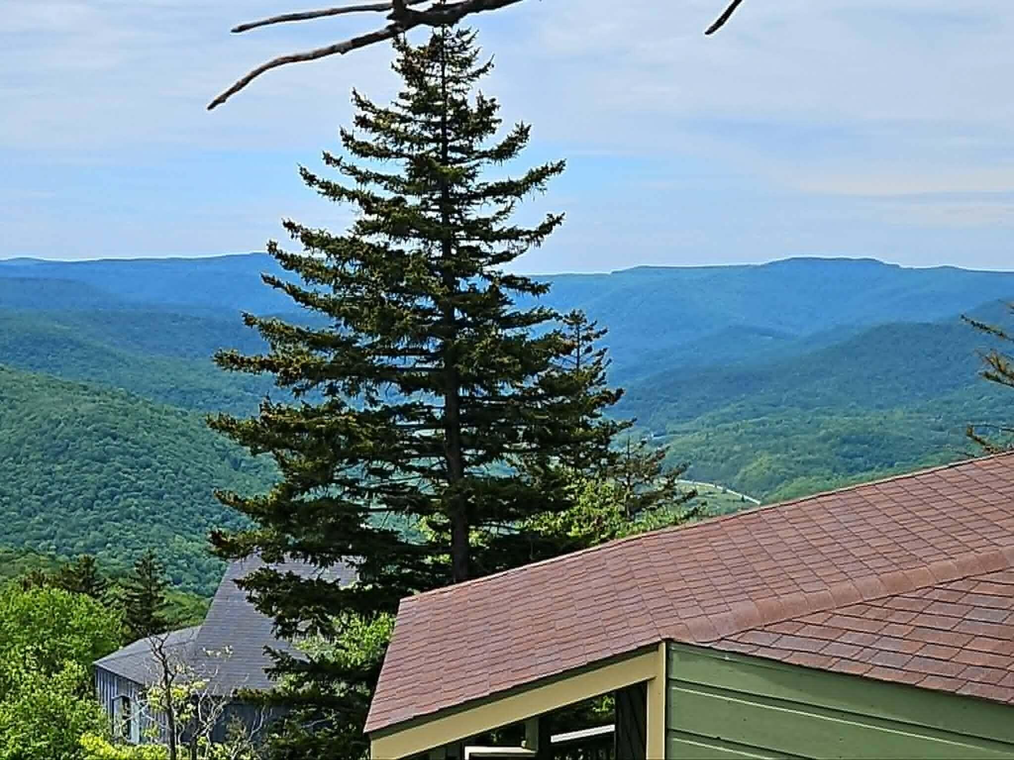 81 Sundown Road Snowshoe, WV 26209 - Photo 33 of 34 Gallery Image 33