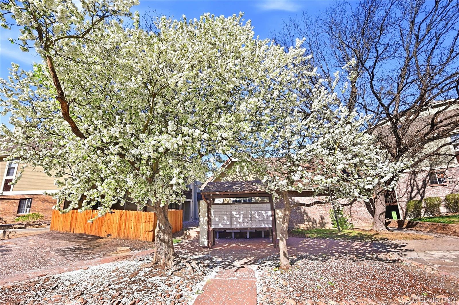 1885 South Quebec Way, Unit A18 Denver, CO 80231 - Photo 21 of 31 a bench is sitting in middle of a forest