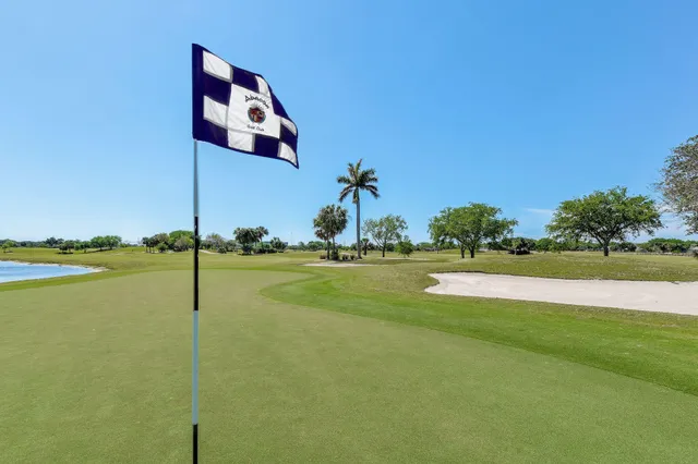 a view of a grassy field with trees