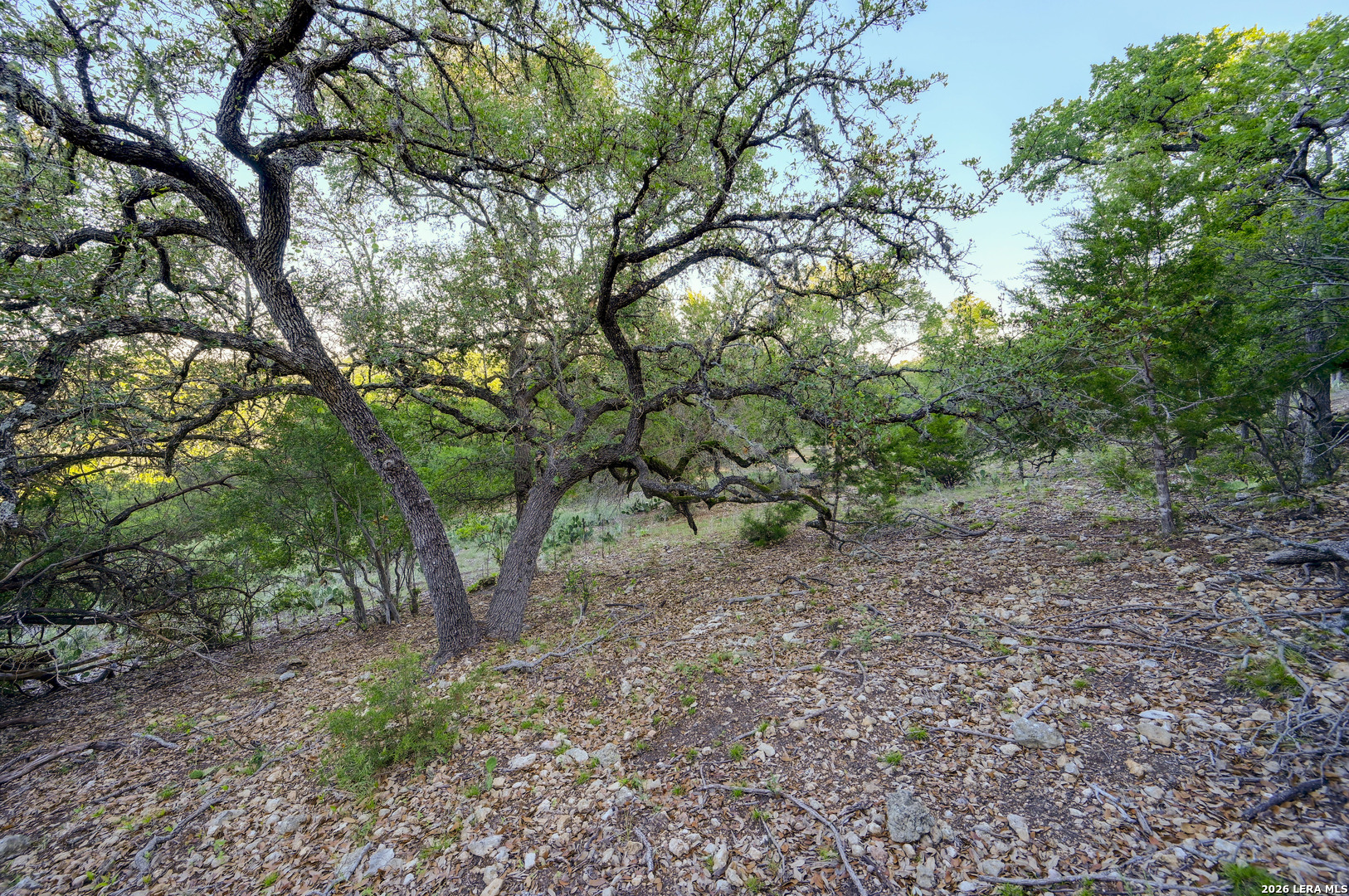 315 Rittimann Road Spring Branch, TX 78070 - Photo 10 of 51