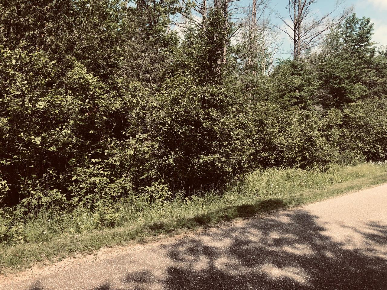 On King Road, Unit LOT 6 Rhinelander, WI 54501 - Photo 4 of 4 Gallery Image 4