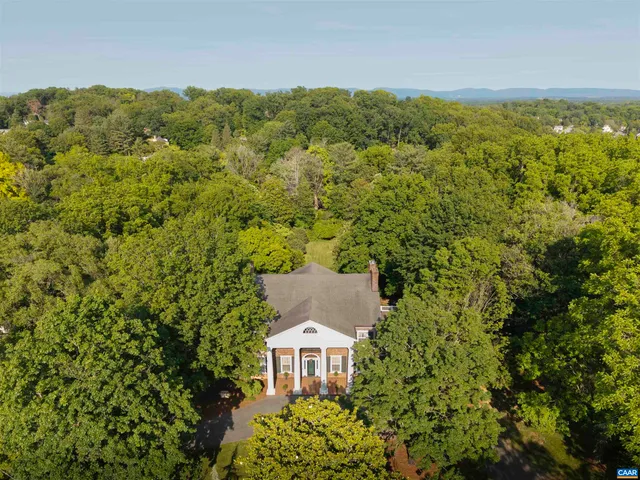 a view of a field with a tree