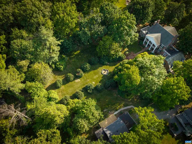 a plant that is in a garden