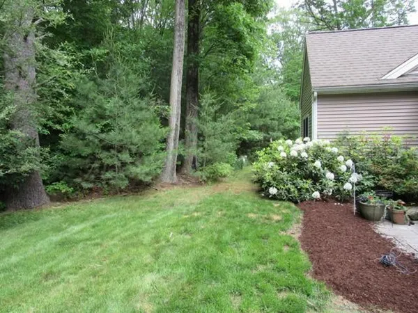 a view of a backyard with plants
