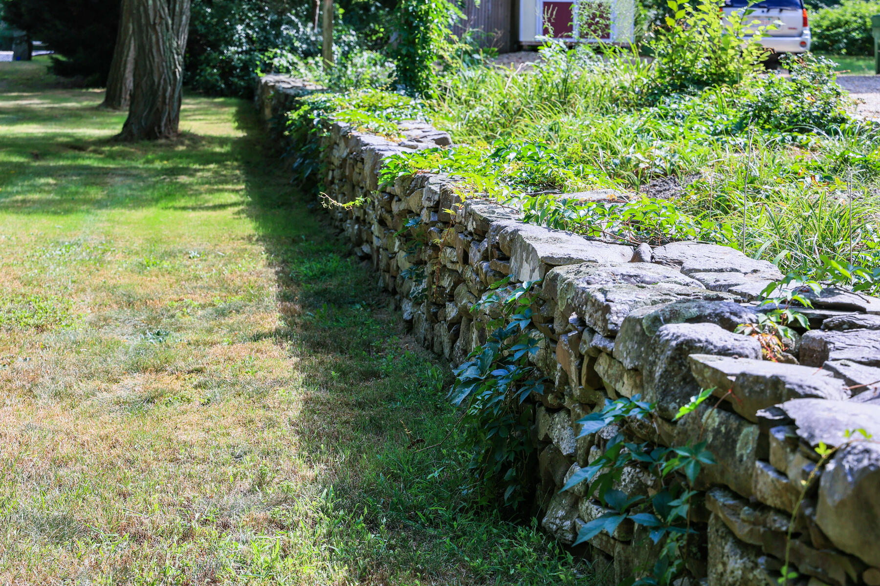 14 Phoebe's Close Orleans, MA 02653 - Photo 3 of 55 598A0311