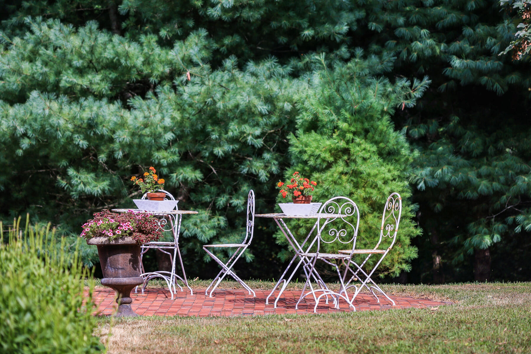 14 Phoebe's Close Orleans, MA 02653 - Photo 48 of 55 598A0325