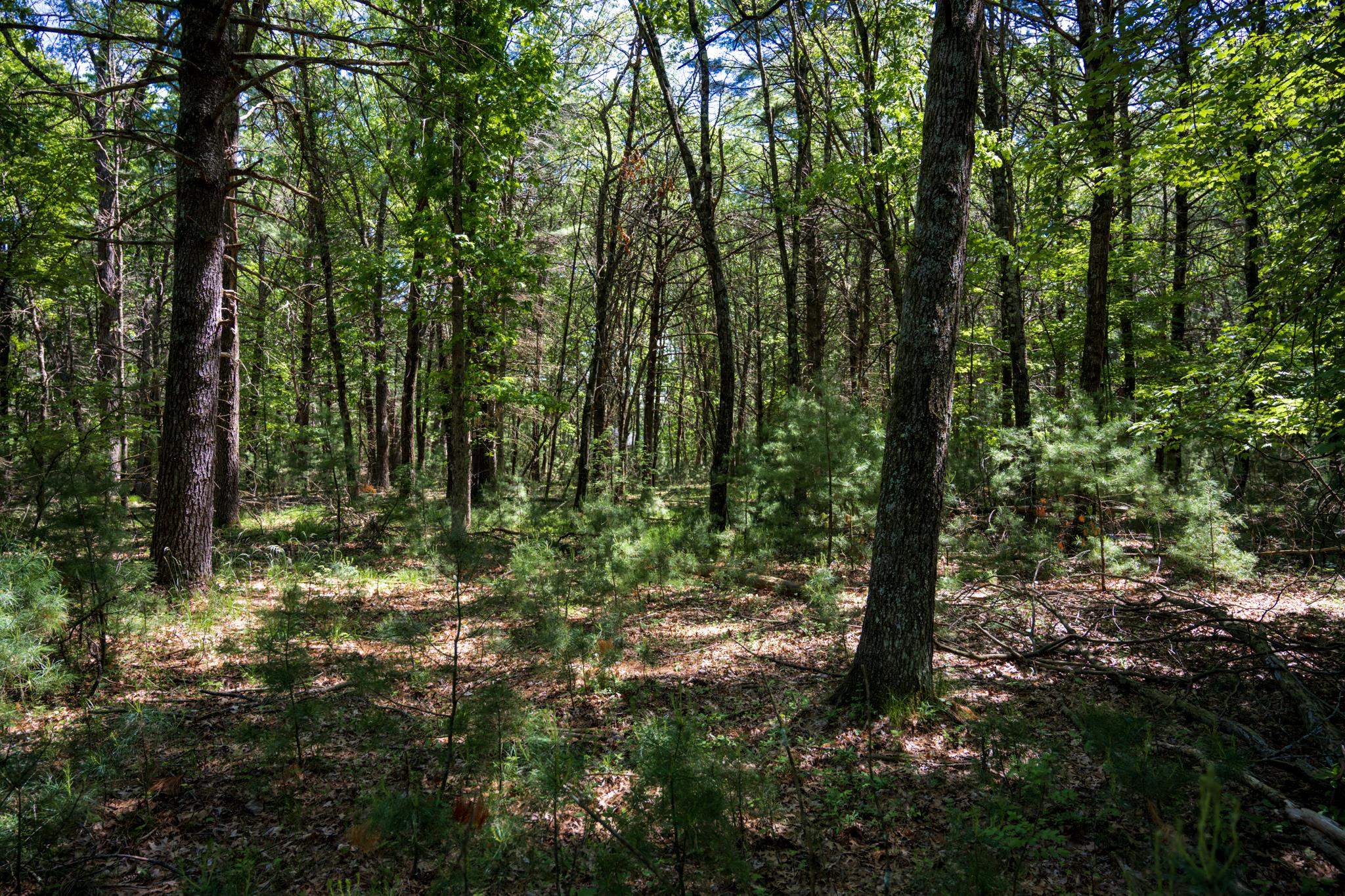 Lot 132 19th Arkdale, WI 54613 - Photo 18 of 27