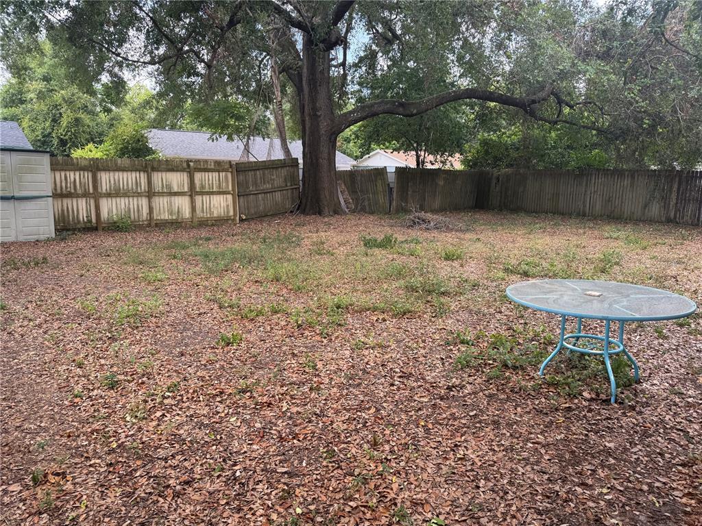 201 Lentz Road Brandon, FL 33510 - Photo 8 of 8 a view of a backyard with a tree