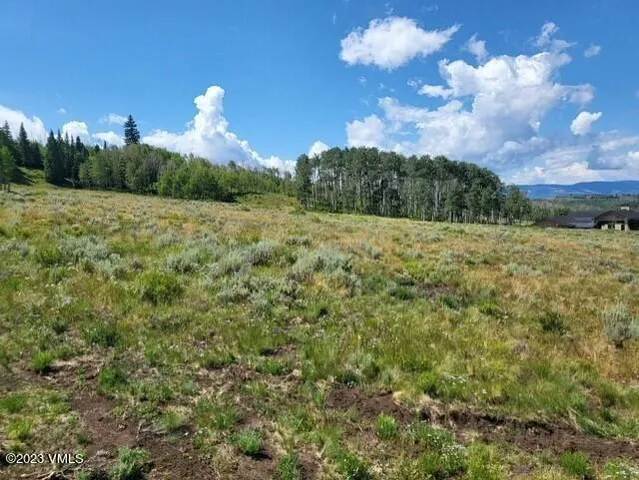 a view of a big yard with lots of green space