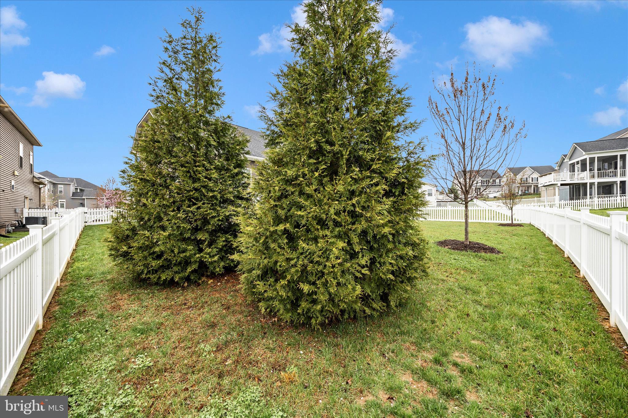 1202 Dargon Quarry Lane Brunswick, MD 21716 - Photo 49 of 76 Exterior Back