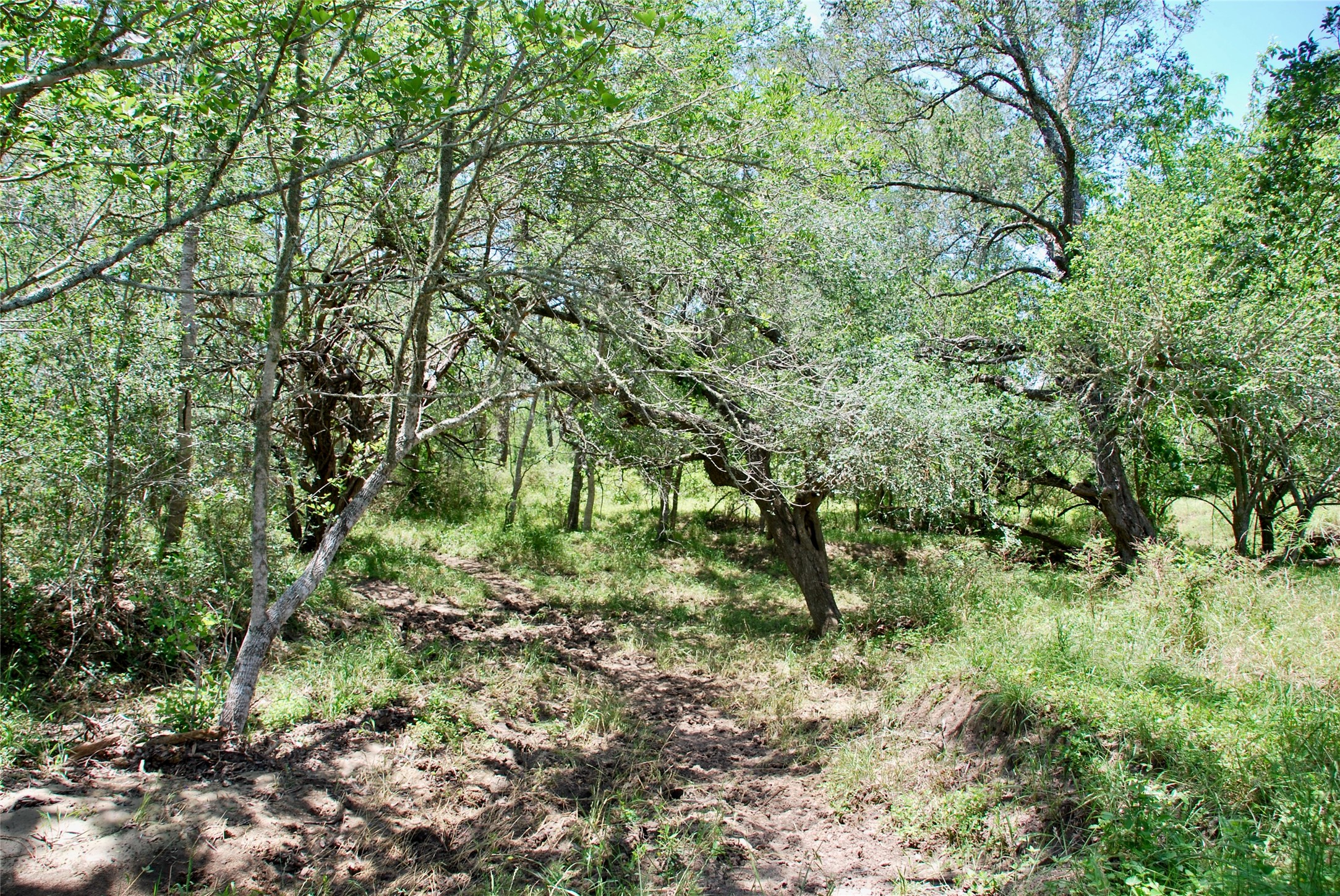 2170 Langdon Road Weimar, TX 78962 - Photo 19 of 31
