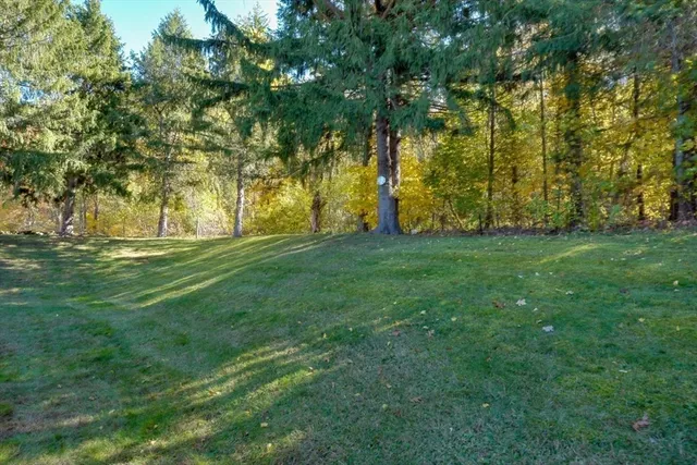 a grassy field with trees in the background