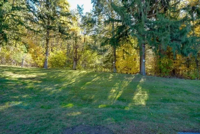 a view of yard with green space