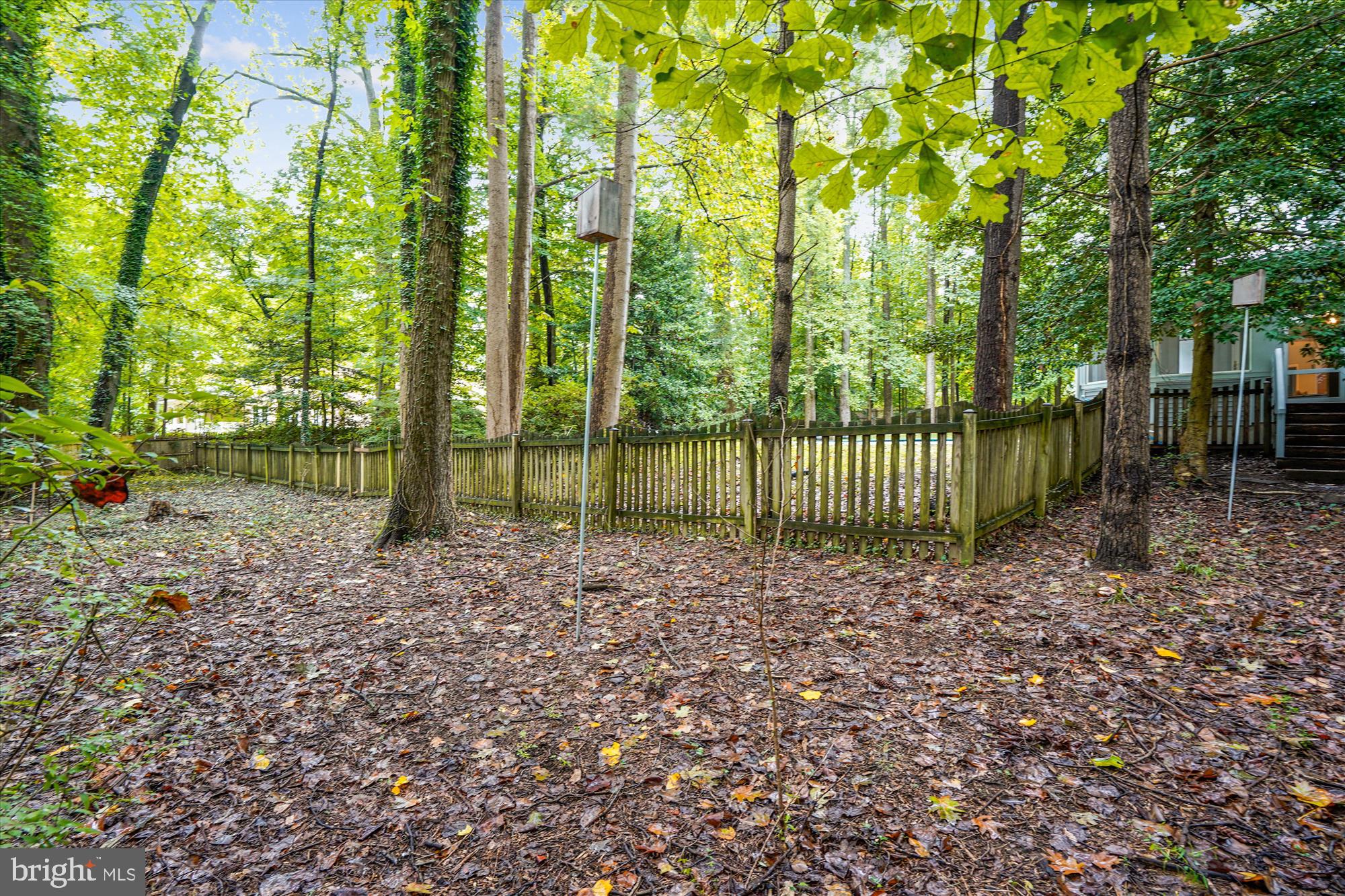 2559 Five Oaks Road Vienna, VA 22181 - Photo 53 of 55 a backyard of a house with lots of green space