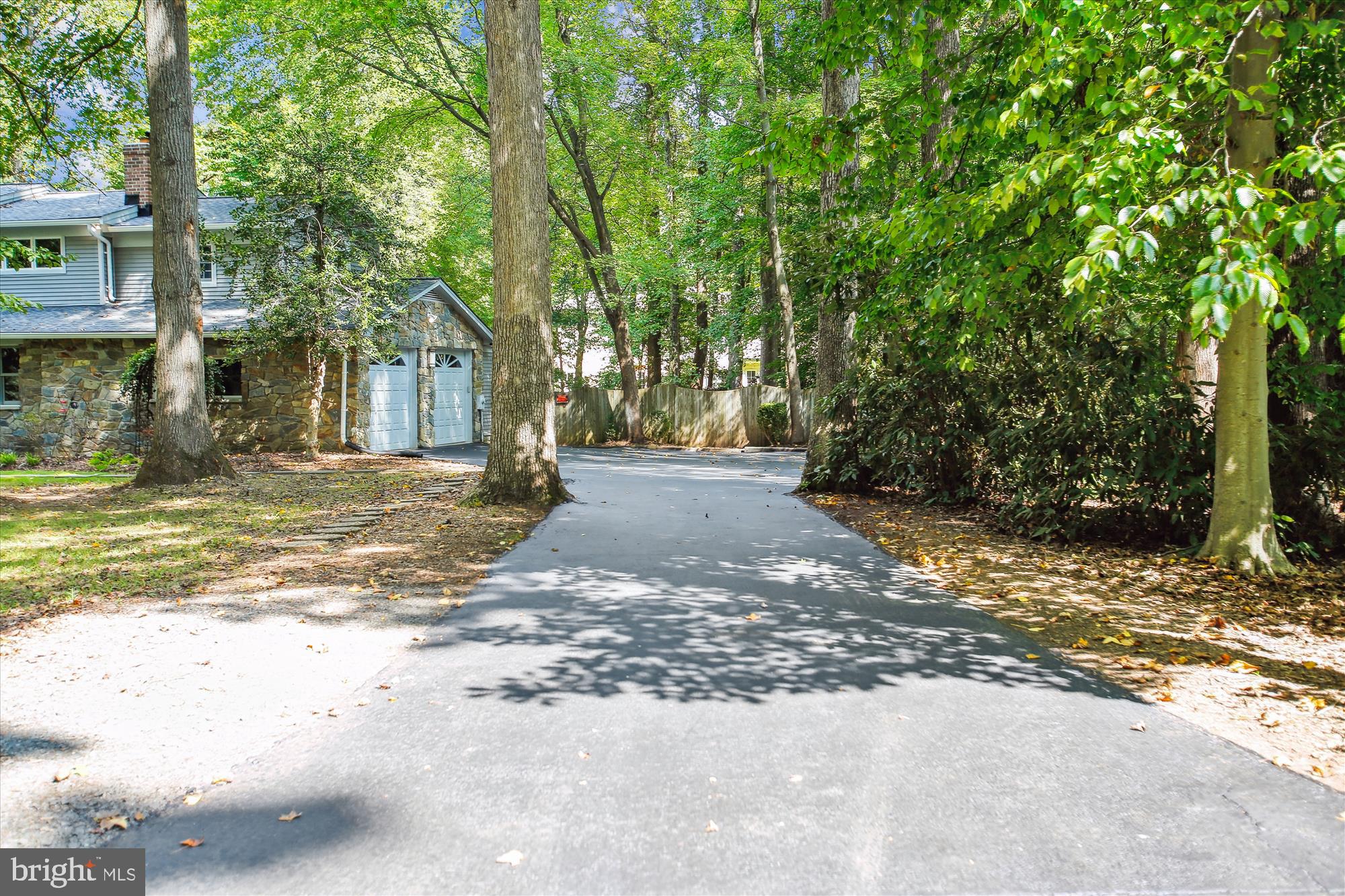 2559 Five Oaks Road Vienna, VA 22181 - Photo 54 of 55 a view of a yard with plants and trees
