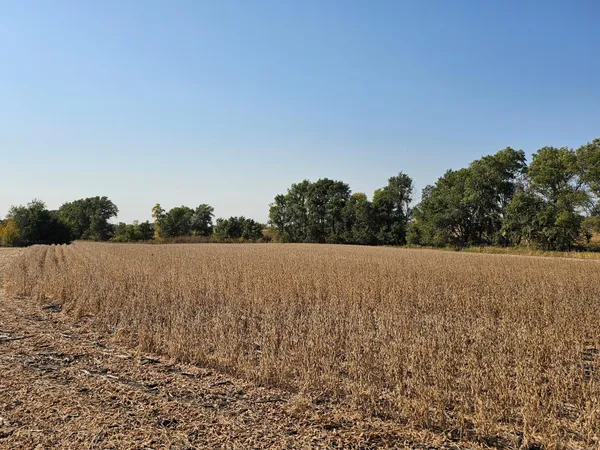 $120,000 | - Mamre Twp, Pennock, MN 56279