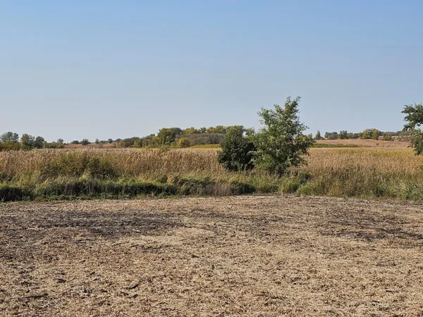 $120,000 | - Mamre Twp, Pennock, MN 56279