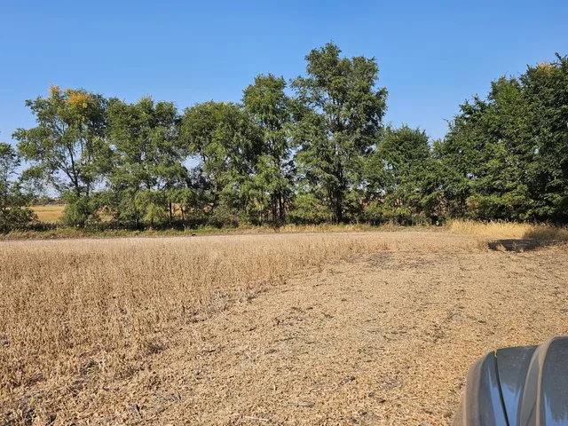 $120,000 | - Mamre Twp, Pennock, MN 56279