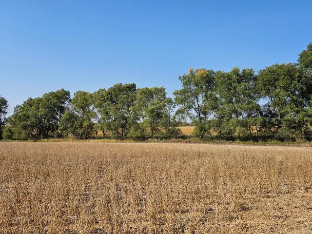 $120,000 | - Mamre Twp, Pennock, MN 56279