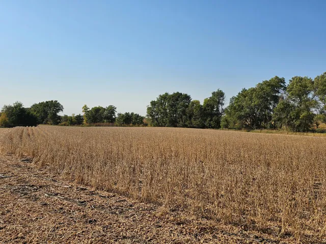 $120,000 | - Mamre Twp, Pennock, MN 56279