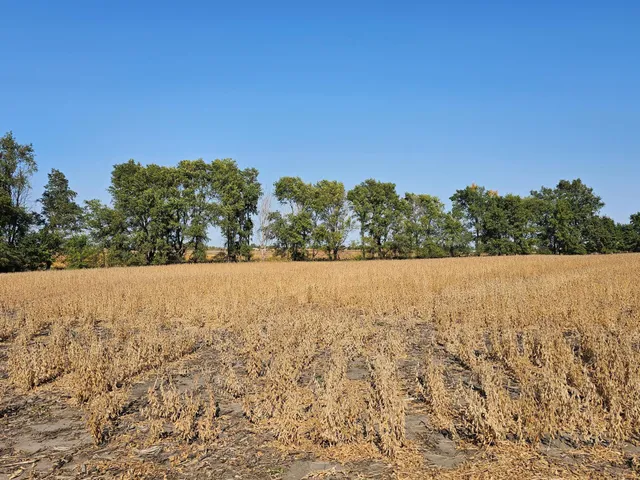 $120,000 | - Mamre Twp, Pennock, MN 56279