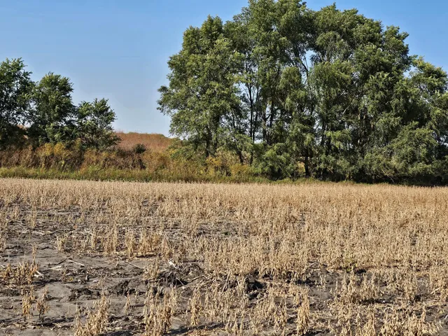 $120,000 | - Mamre Twp, Pennock, MN 56279