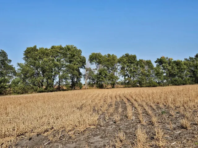 $120,000 | - Mamre Twp, Pennock, MN 56279