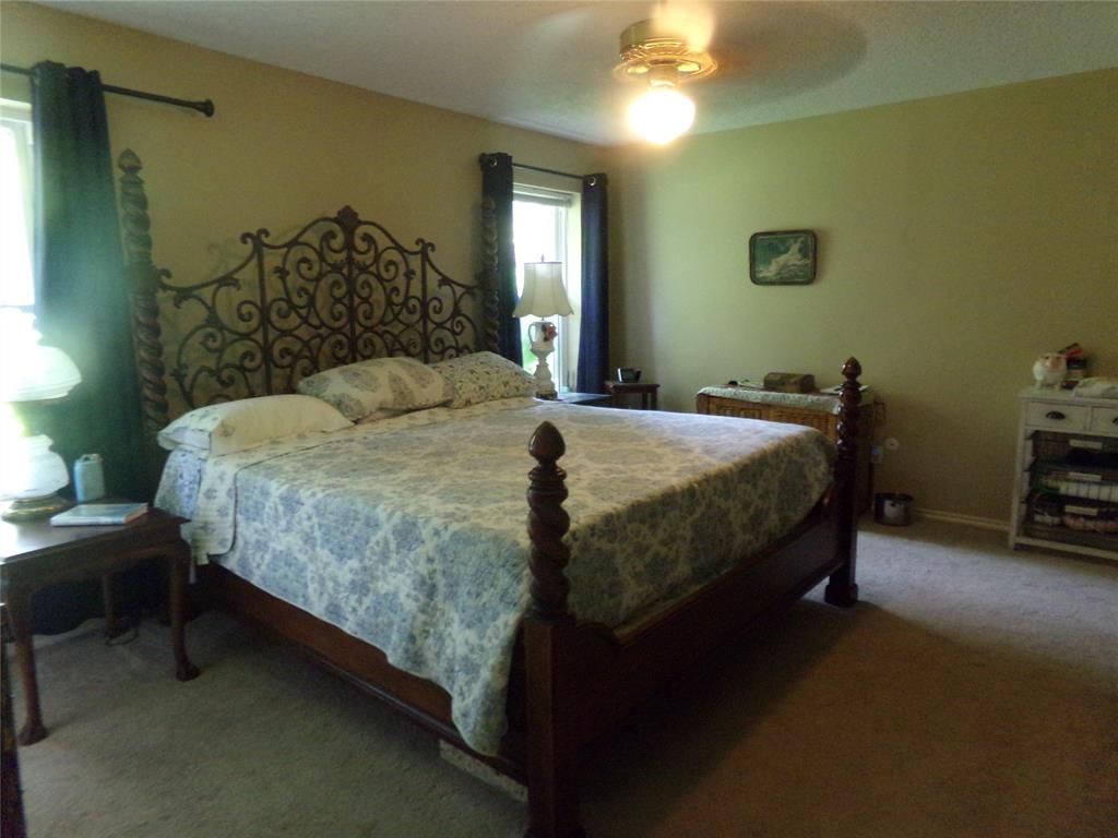 5110 Wedgefield Road Granbury, TX 76049 - Photo 12 of 23 Carpeted bedroom featuring multiple windows with dark-toned drapes, a ceiling-mounted light fixture, and warm-toned wall paint