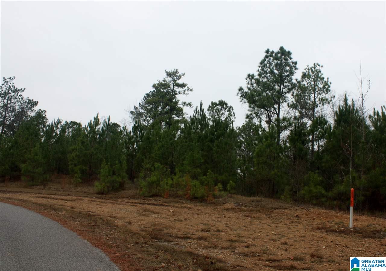 Shoreside Lane, Unit 201 Sylacauga, AL 35151 - Photo 12 of 15