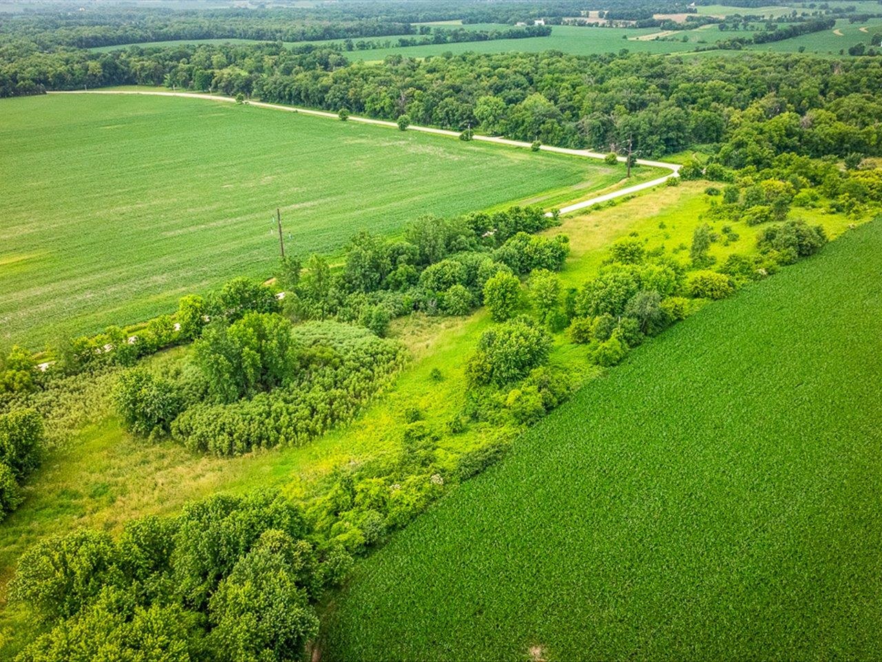 9836 East Maize Road Ridott, IL 61067 - Photo 37 of 39