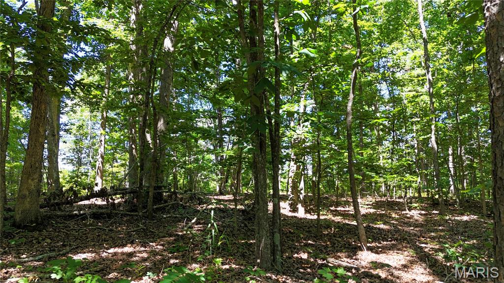 Tbd Tbd Antler Ridge Bunker, MO 63629 - Photo 22 of 26