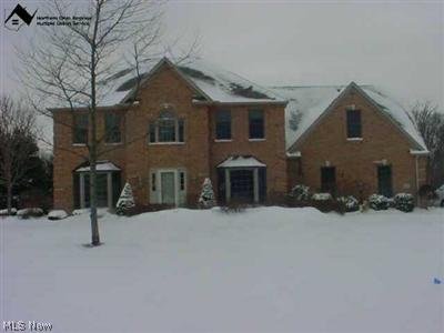 45 Ridgeview Circle Milan, OH 44846 - Photo 1 of 1