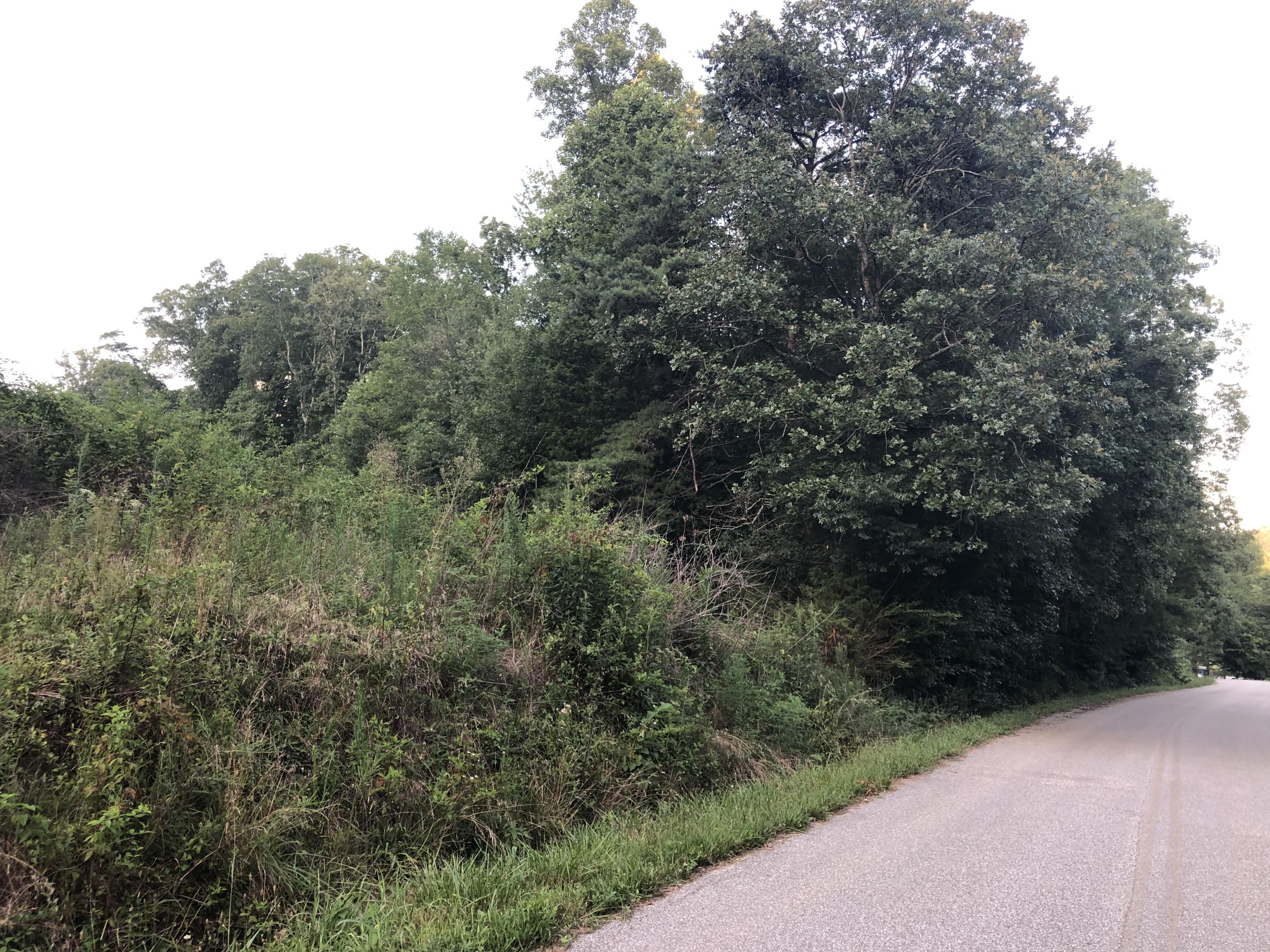383 Ladd Ridge Road Kingston, TN 37763 - Photo 1 of 7 IMG_4940