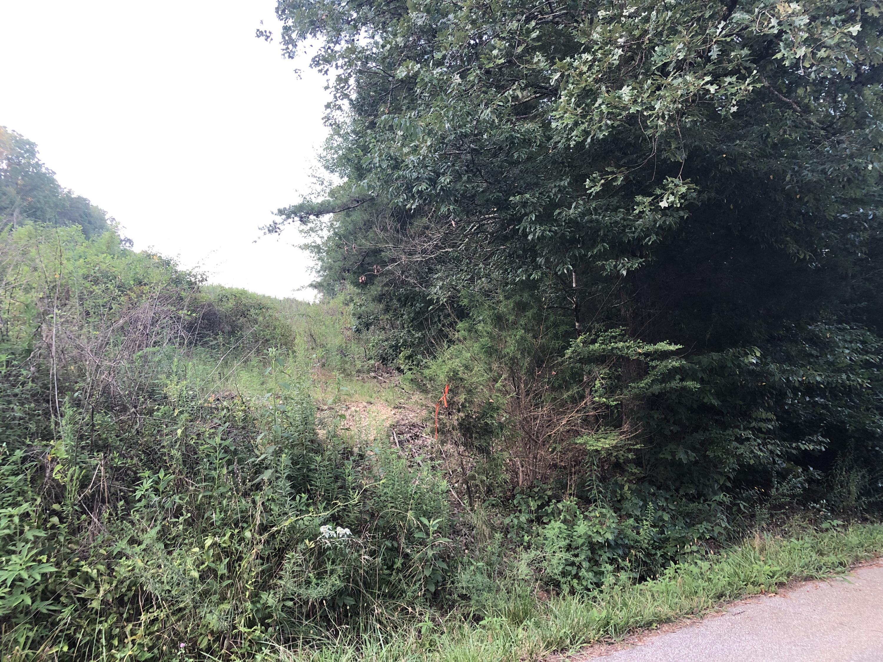383 Ladd Ridge Road Kingston, TN 37763 - Photo 2 of 7 IMG_4943