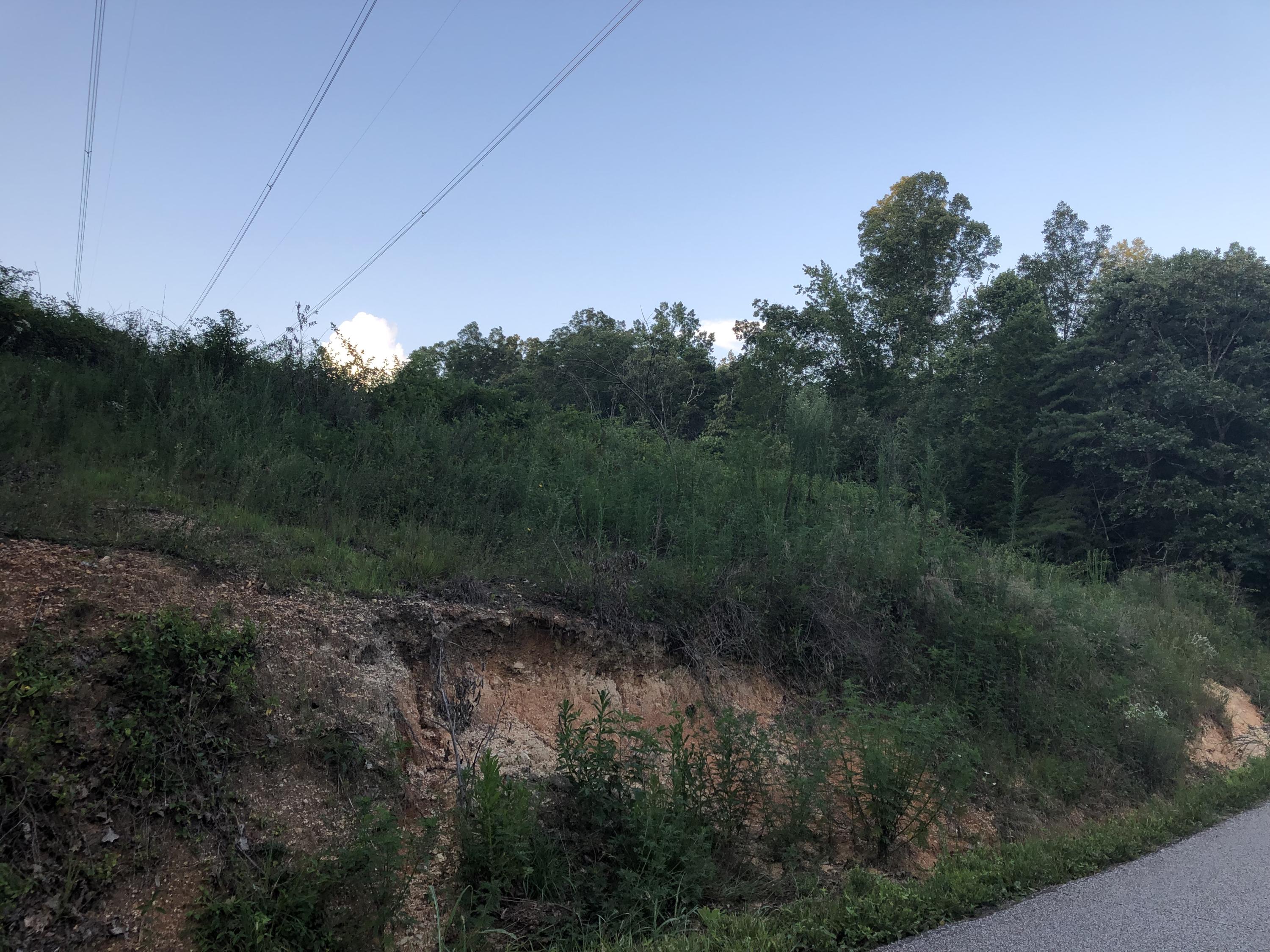 383 Ladd Ridge Road Kingston, TN 37763 - Photo 6 of 7 IMG_4938