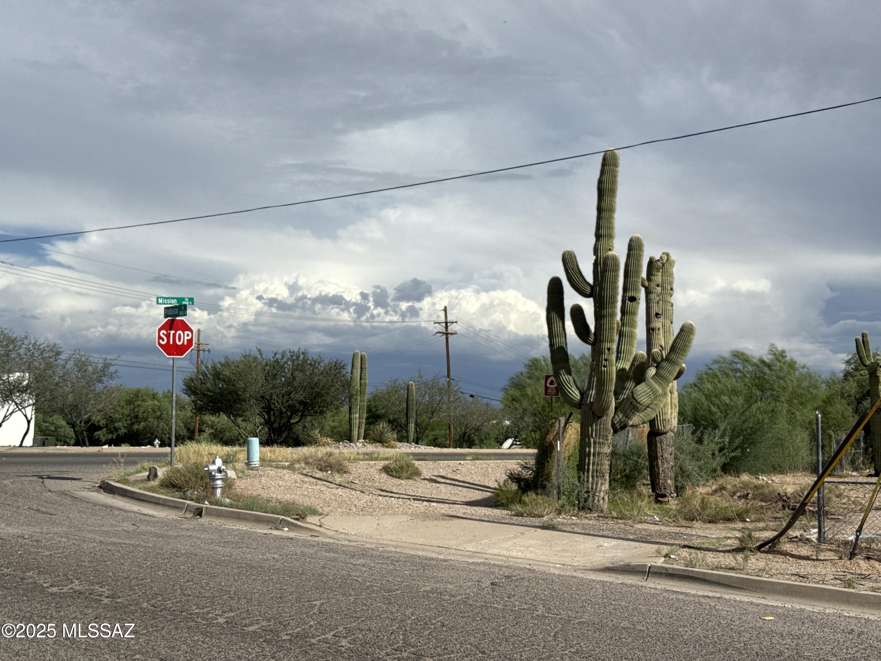 3902 South Mission Road, Unit 1 Tucson, AZ 85746 - Photo 10 of 10