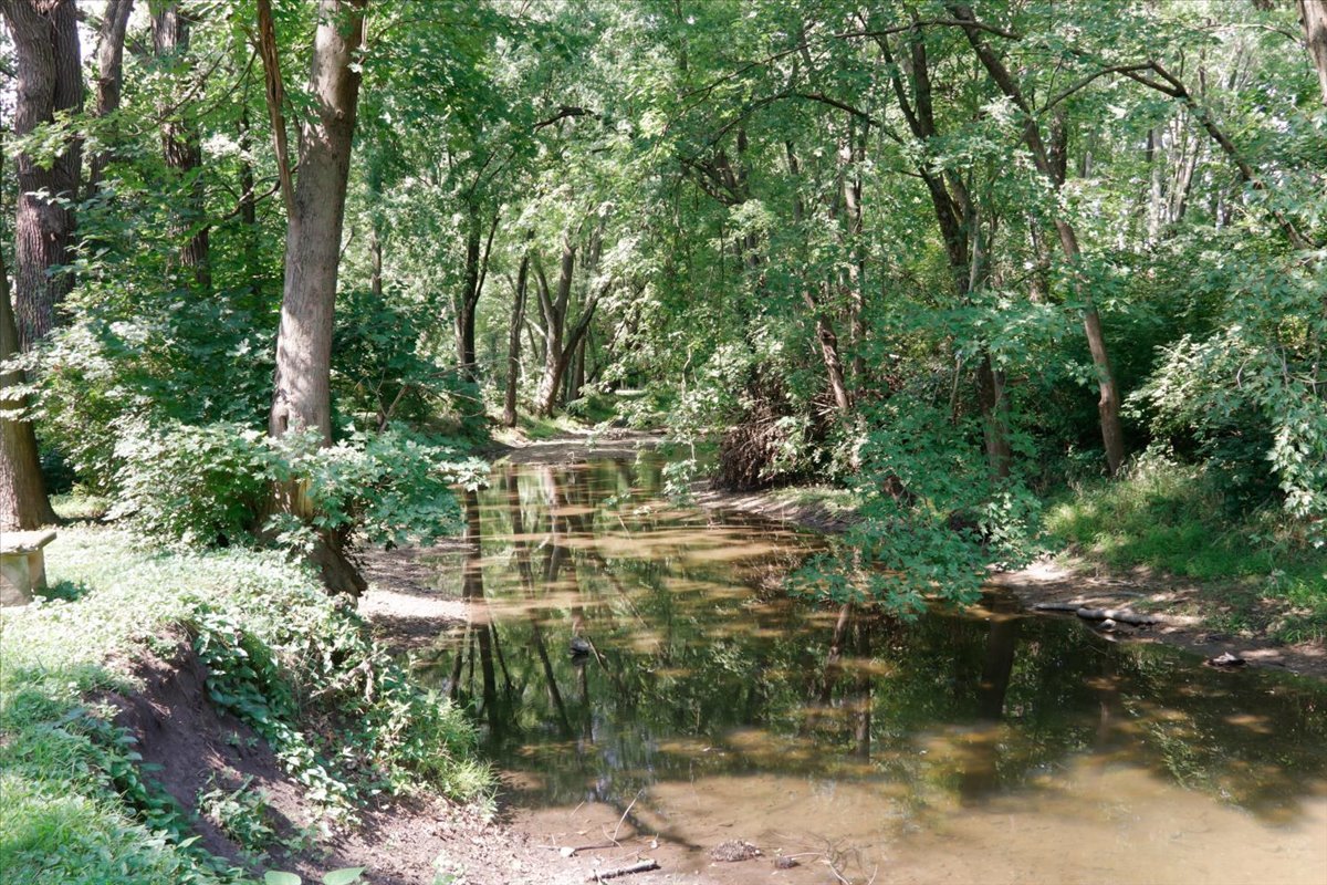 28 Timber Ridge Drive Fairbury, IL 61739 - Photo 15 of 16