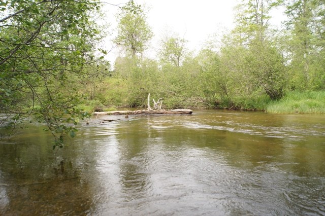8603 Partridge Roost Road Frederic, MI 49733 - Photo 29 of 36 1801734-29.JPG