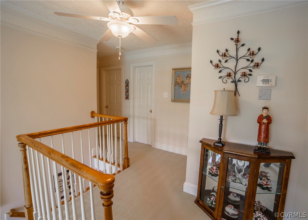11239 Hanover Courthouse Road Hanover, VA 23069 - Photo 23 of 50 a view of entryway with a front door