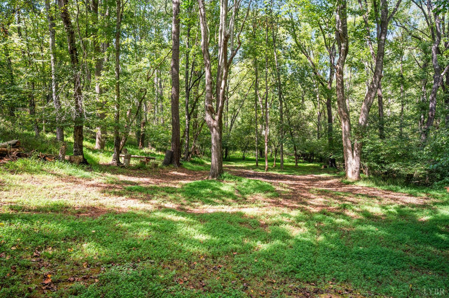 6707 Coffee Road Forest, VA 24551 - Photo 35 of 79 Gallery Image 35