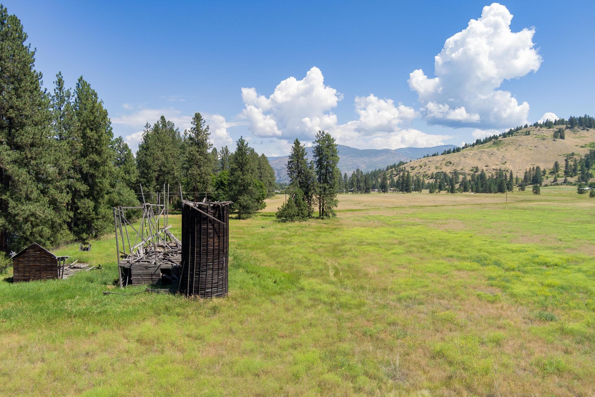 Tbd Boundary Road Danville, WA 99121 - Photo 3 of 20