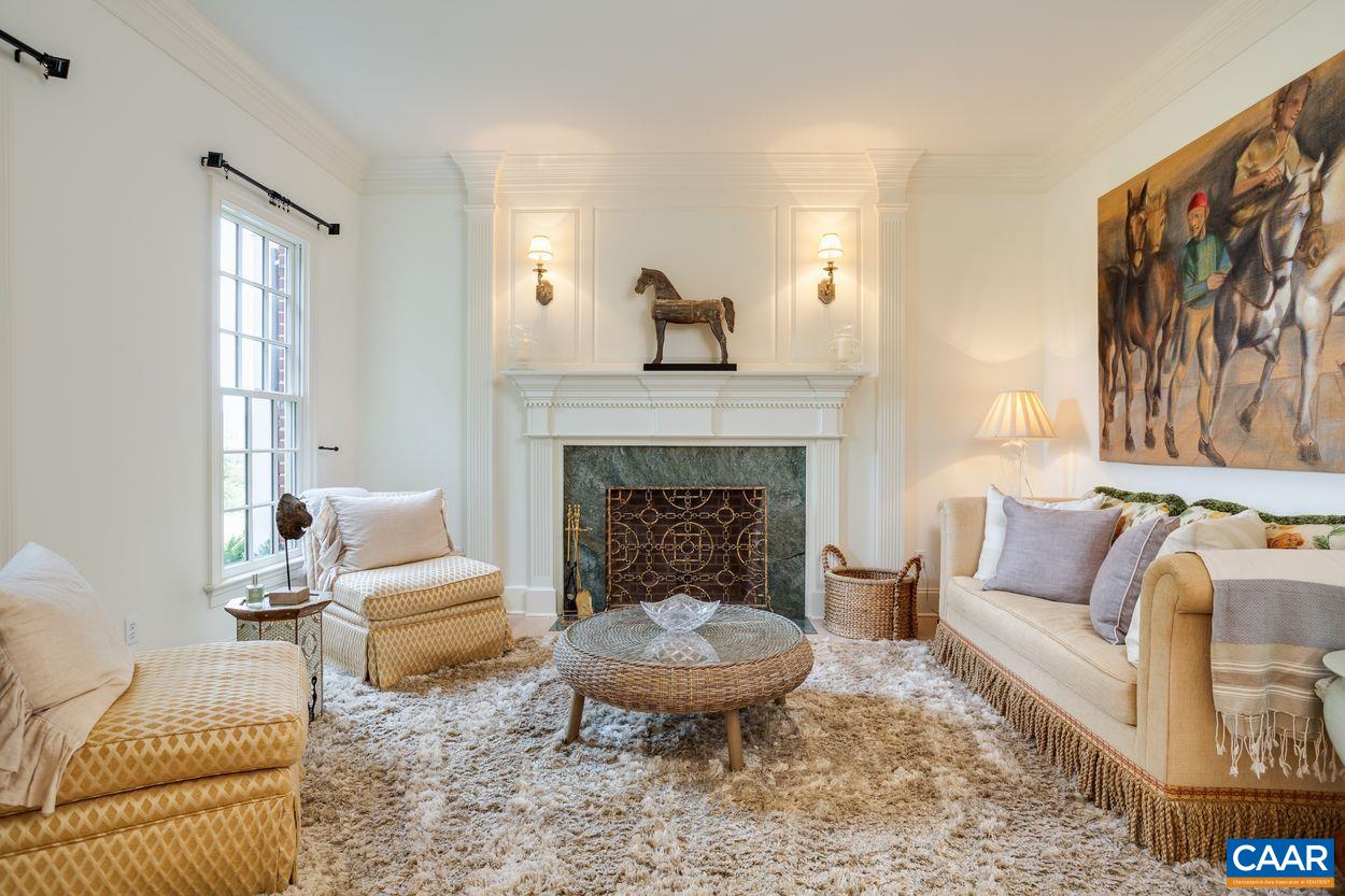 585 Ragged Mountain Drive Charlottesville, VA 22903 - Photo 4 of 60 a living room with furniture and a fireplace
