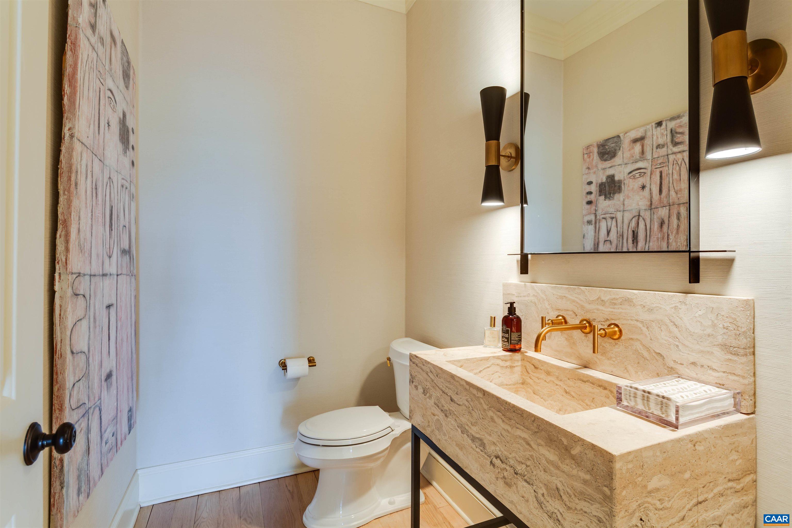585 Ragged Mountain Drive Charlottesville, VA 22903 - Photo 10 of 60 a bathroom with a sink and a toilet