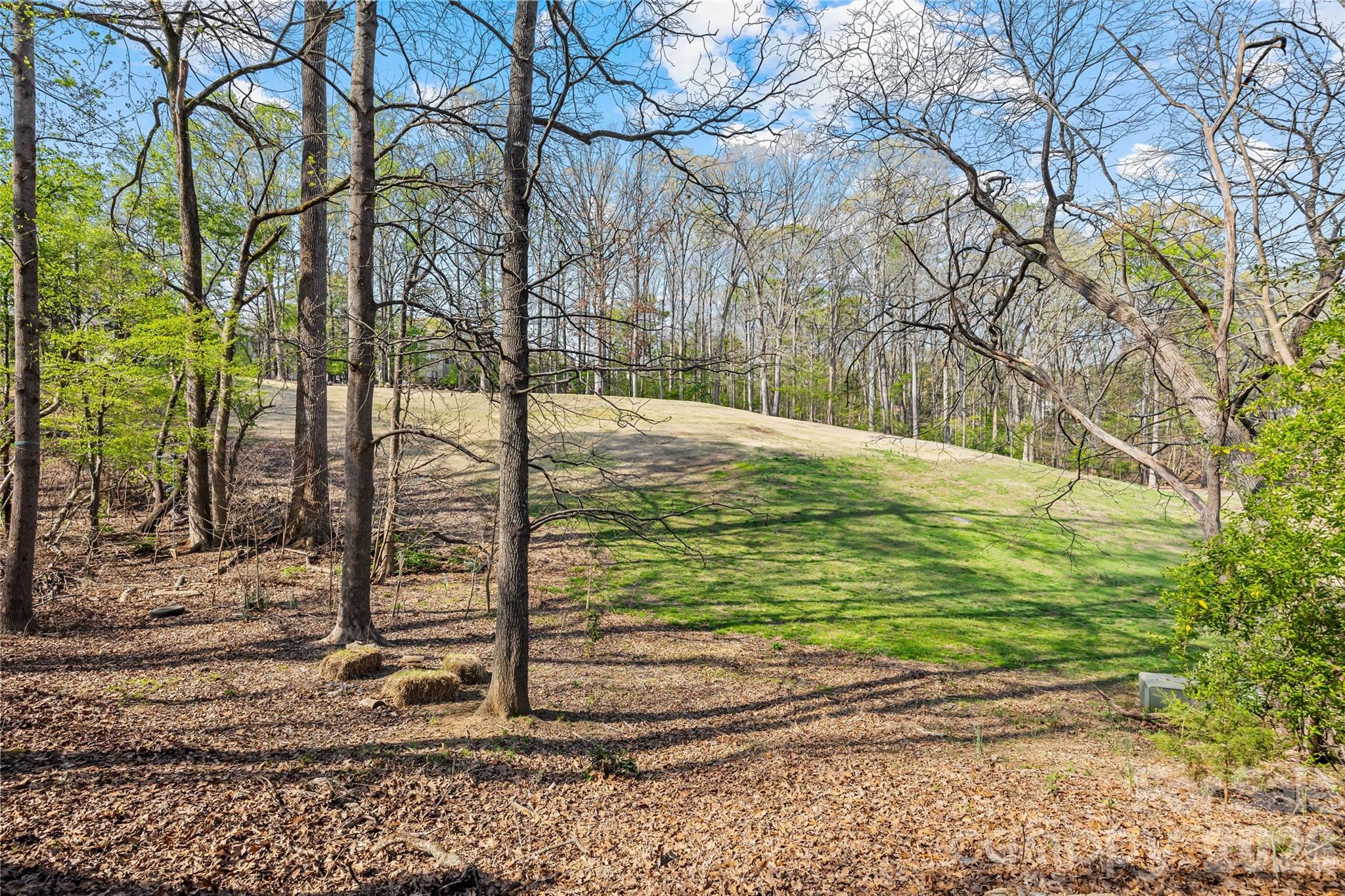 9406 Fairway Ridge Road Charlotte, NC 28277 - Photo 43 of 48