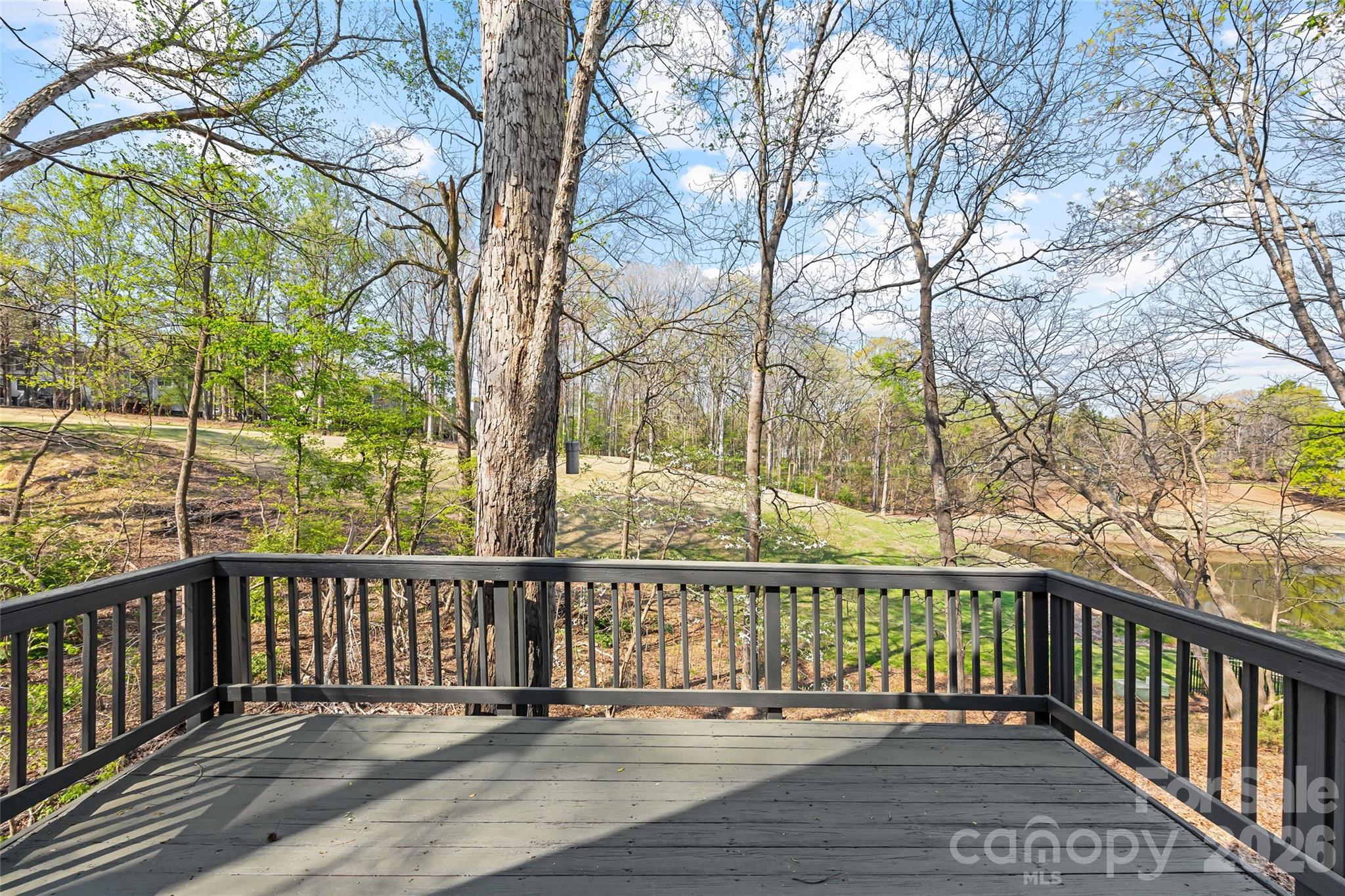 9406 Fairway Ridge Road Charlotte, NC 28277 - Photo 45 of 48